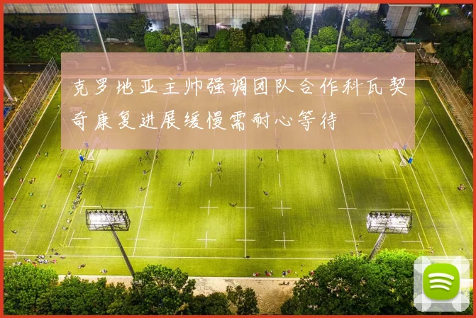 克罗地亚主帅强调团队合作科瓦契奇康复进展缓慢需耐心等待