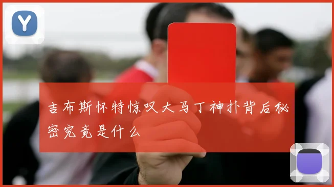 吉布斯怀特惊叹大马丁神扑背后秘密究竟是什么