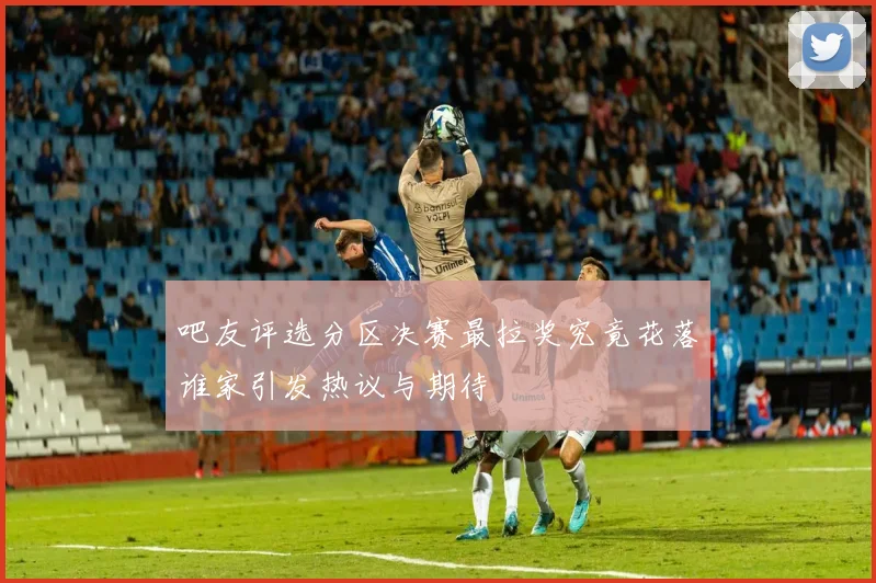吧友评选分区决赛最拉奖究竟花落谁家引发热议与期待