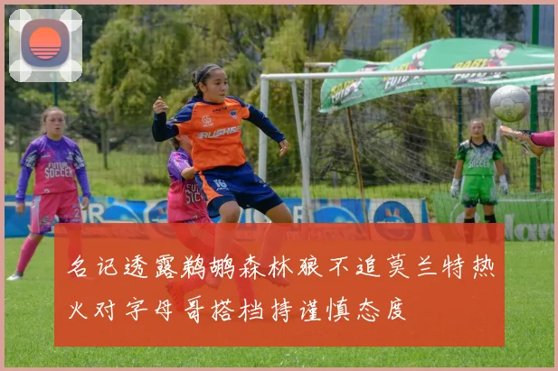 名记透露鹈鹕森林狼不追莫兰特热火对字母哥搭档持谨慎态度